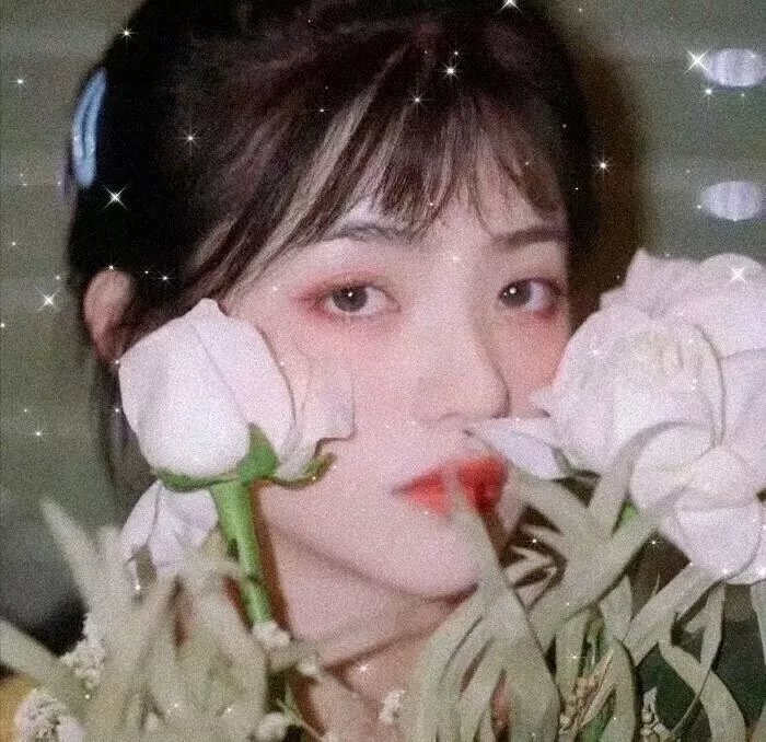霉菌战争